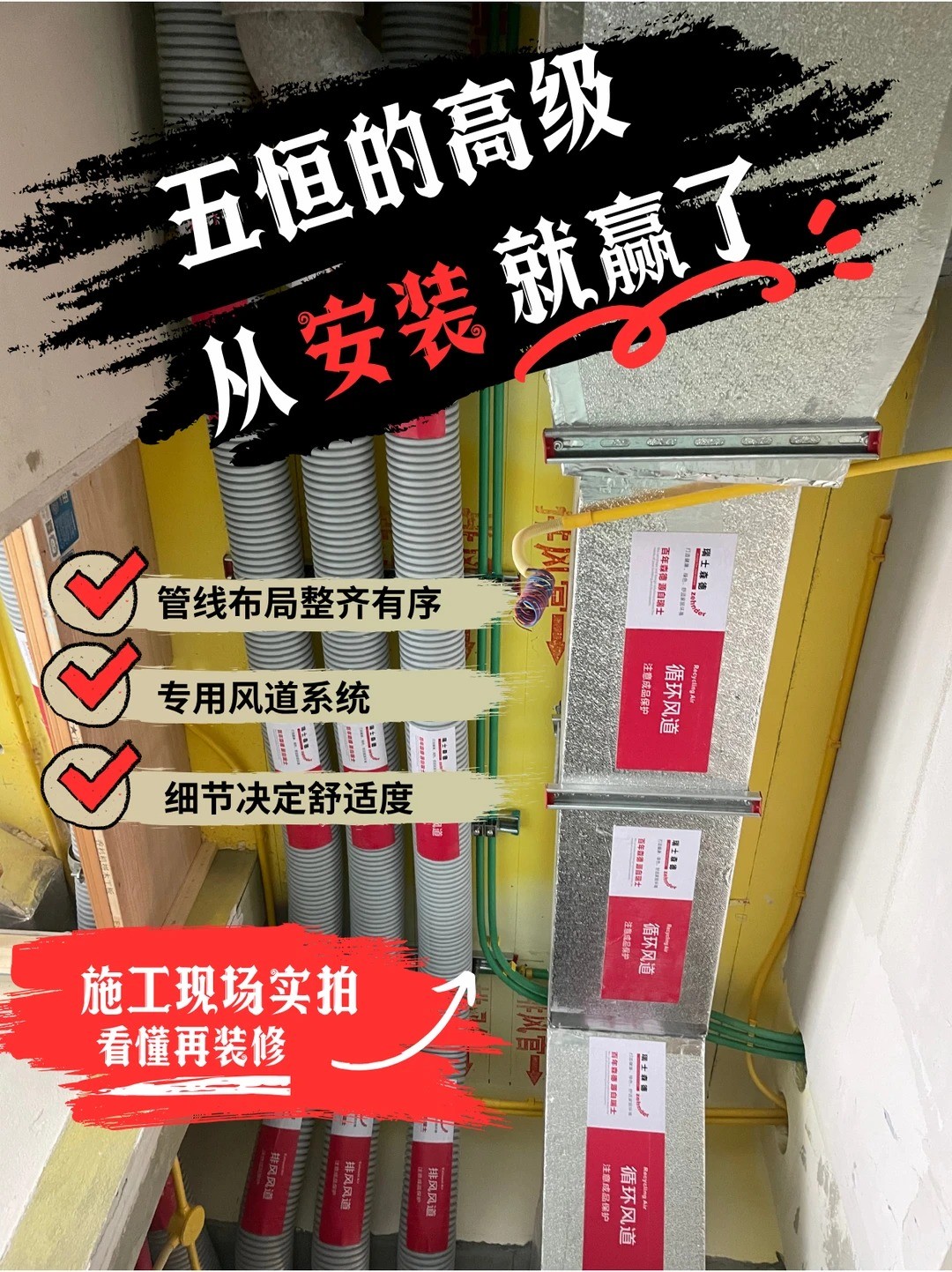 长寿五恒的，从安装就赢了